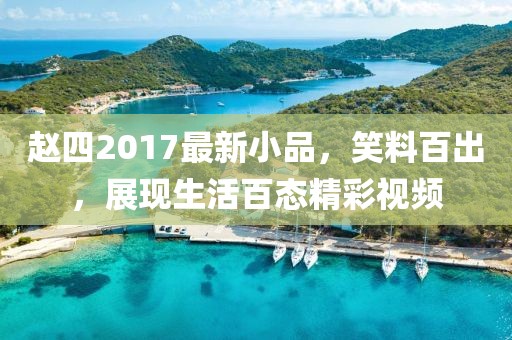 赵四2017最新小品，笑料百出，展现生活百态精彩视频