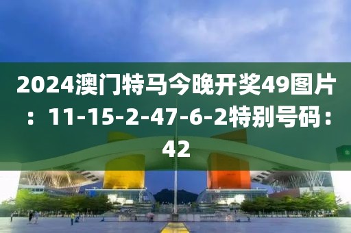2024澳门特马今晚开奖49图片：11-15-2-47-6-2特别号码：42
