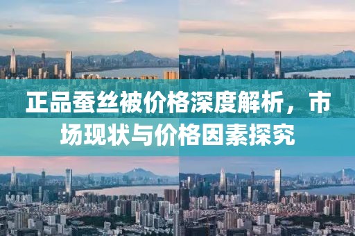正品蚕丝被价格深度解析，市场现状与价格因素探究