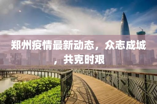 郑州疫情最新动态，众志成城，共克时艰