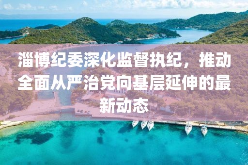 淄博纪委深化监督执纪，推动全面从严治党向基层延伸的最新动态