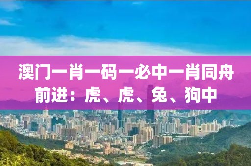 澳门一肖一码一必中一肖同舟前进：虎、虎、兔、狗中