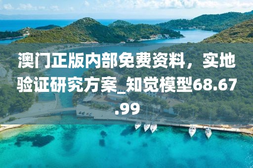澳门正版内部免费资料，实地验证研究方案_知觉模型68.67.99