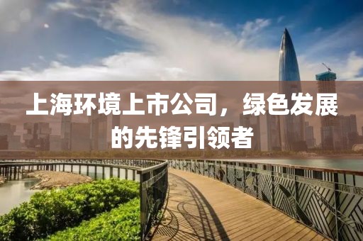 上海环境上市公司，绿色发展的先锋引领者