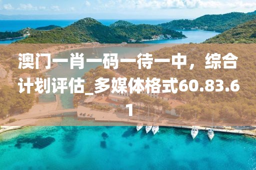 澳门一肖一码一待一中，综合计划评估_多媒体格式60.83.61