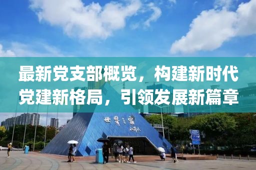 最新党支部概览，构建新时代党建新格局，引领发展新篇章