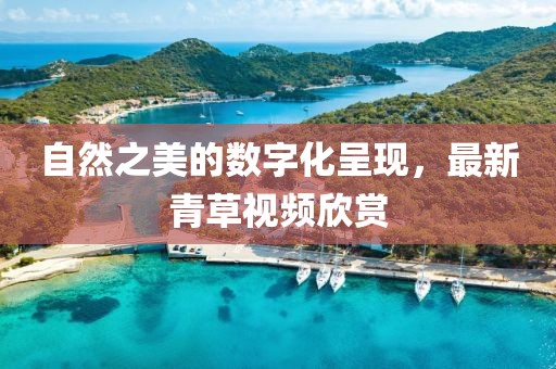自然之美的数字化呈现，最新青草视频欣赏