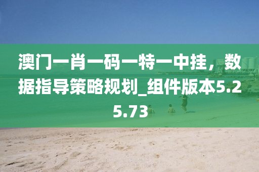 澳门一肖一码一特一中挂，数据指导策略规划_组件版本5.25.73