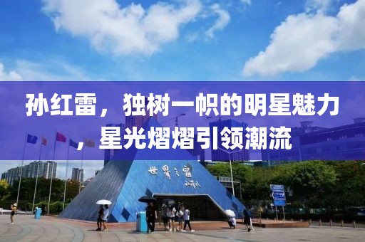 孙红雷，独树一帜的明星魅力，星光熠熠引领潮流