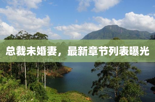总裁未婚妻，最新章节列表曝光