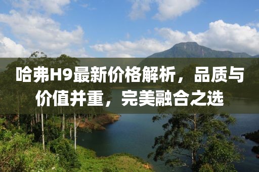 哈弗H9最新价格解析，品质与价值并重，完美融合之选