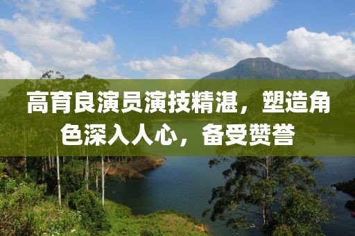 高育良演员演技精湛，塑造角色深入人心，备受赞誉