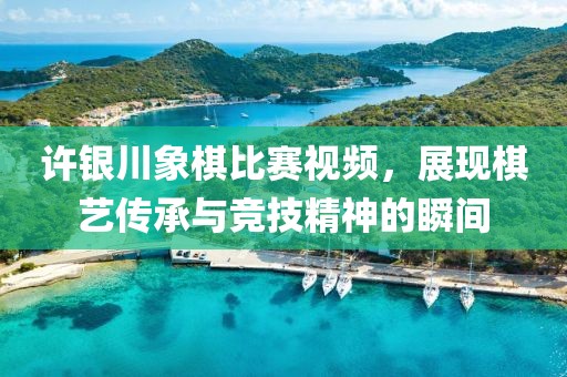 许银川象棋比赛视频，展现棋艺传承与竞技精神的瞬间