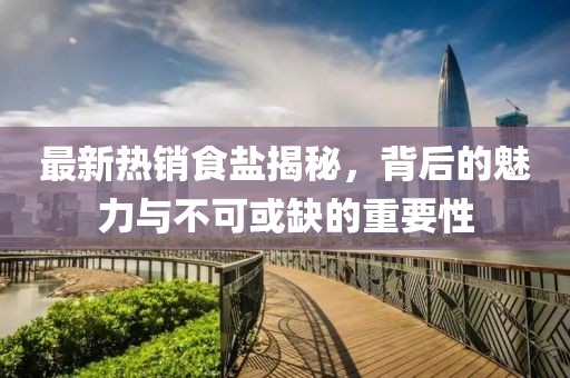 最新热销食盐揭秘，背后的魅力与不可或缺的重要性