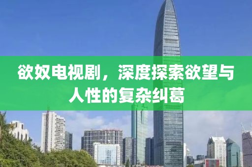 欲奴电视剧，深度探索欲望与人性的复杂纠葛