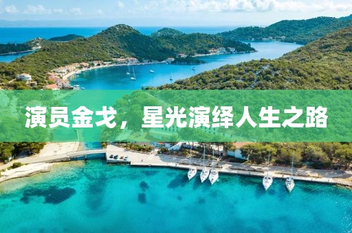 演员金戈，星光演绎人生之路
