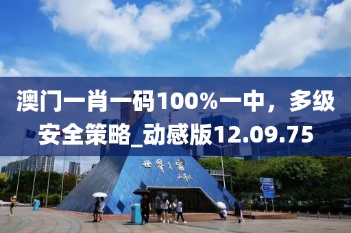 澳门一肖一码100%一中，多级安全策略_动感版12.09.75