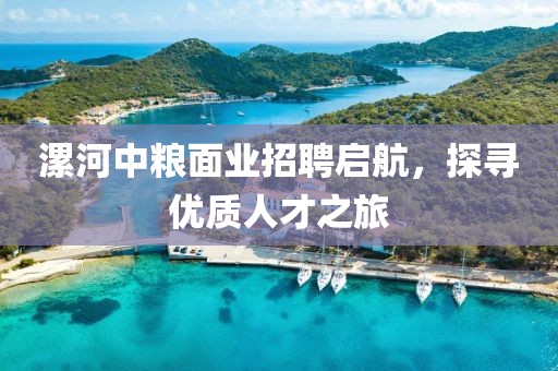 漯河中粮面业招聘启航，探寻优质人才之旅