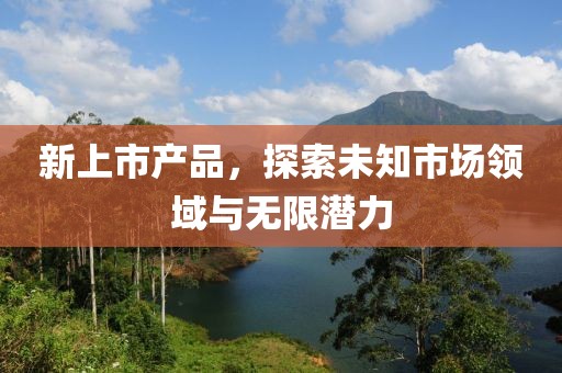 新上市产品，探索未知市场领域与无限潜力