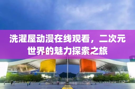 洗濯屋动漫在线观看，二次元世界的魅力探索之旅