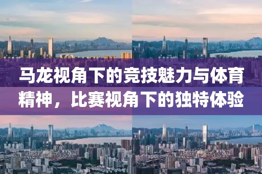 马龙视角下的竞技魅力与体育精神，比赛视角下的独特体验