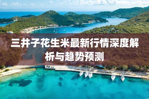 三井子花生米最新行情深度解析与趋势预测