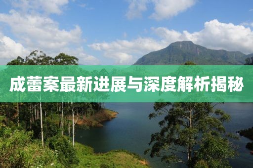 成蕾案最新进展与深度解析揭秘