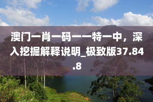 澳门一肖一码一一特一中，深入挖掘解释说明_极致版37.84.8