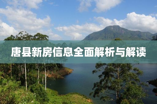唐县新房信息全面解析与解读