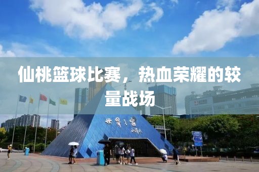 仙桃篮球比赛，热血荣耀的较量战场