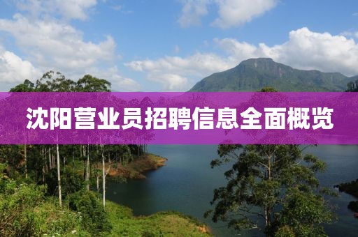 沈阳营业员招聘信息全面概览