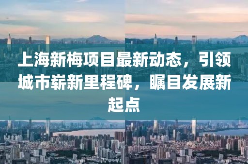 上海新梅项目最新动态，引领城市崭新里程碑，瞩目发展新起点