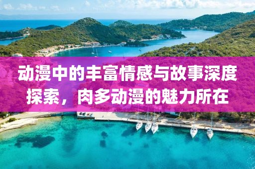 动漫中的丰富情感与故事深度探索，肉多动漫的魅力所在