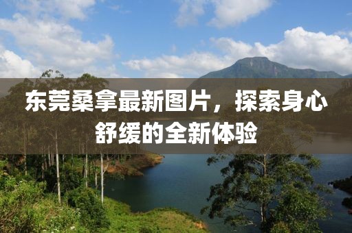 东莞桑拿最新图片，探索身心舒缓的全新体验