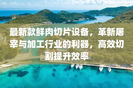 最新款鲜肉切片设备，革新屠宰与加工行业的利器，高效切割提升效率
