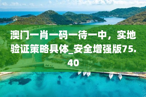 澳门一肖一码一待一中，实地验证策略具体_安全增强版75.40