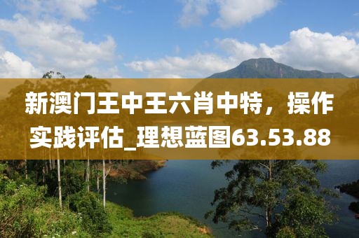 新澳门王中王六肖中特，操作实践评估_理想蓝图63.53.88