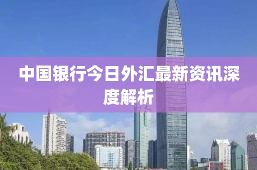 中国银行今日外汇最新资讯深度解析