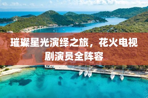 璀璨星光演绎之旅，花火电视剧演员全阵容