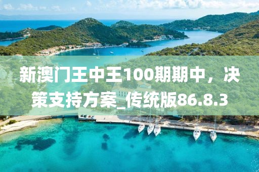 新澳门王中王100期期中，决策支持方案_传统版86.8.3