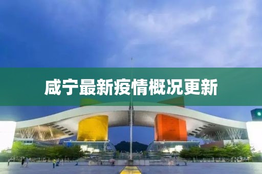 咸宁最新疫情概况更新