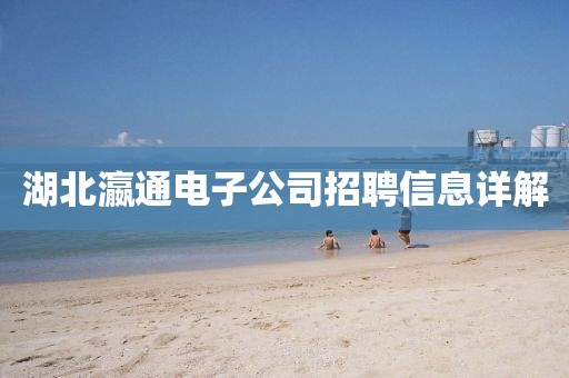 湖北瀛通电子公司招聘信息详解