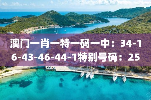 澳门一肖一特一码一中：34-16-43-46-44-1特别号码：25