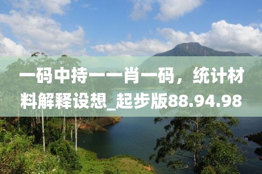 一码中持一一肖一码，统计材料解释设想_起步版88.94.98