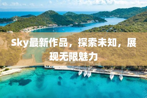 Sky最新作品，探索未知，展现无限魅力
