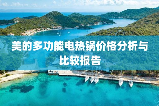 美的多功能电热锅价格分析与比较报告