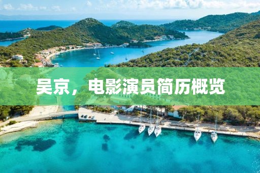 吴京，电影演员简历概览