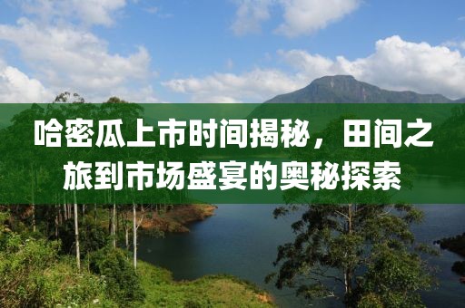 哈密瓜上市时间揭秘，田间之旅到市场盛宴的奥秘探索