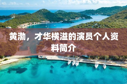 黄渤，才华横溢的演员个人资料简介