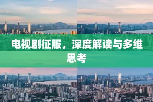 电视剧征服，深度解读与多维思考
